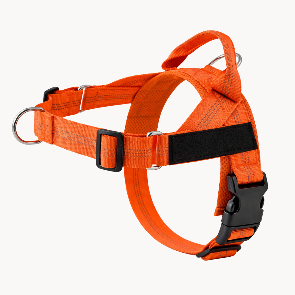 Harnais pour chien - Anti traction